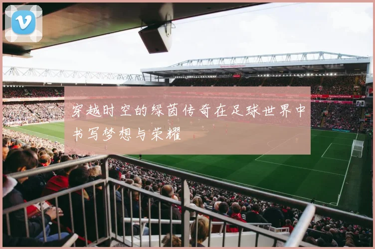 穿越时空的绿茵传奇在足球世界中书写梦想与荣耀