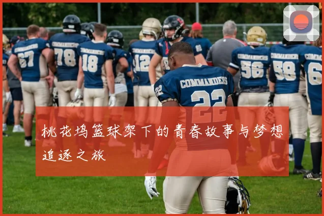 桃花坞篮球架下的青春故事与梦想追逐之旅