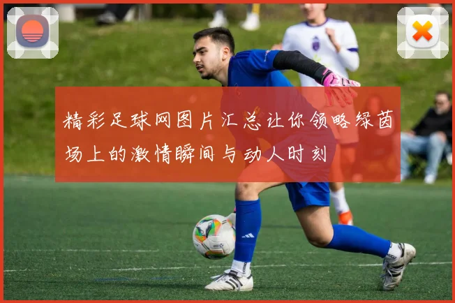 精彩足球网图片汇总让你领略绿茵场上的激情瞬间与动人时刻