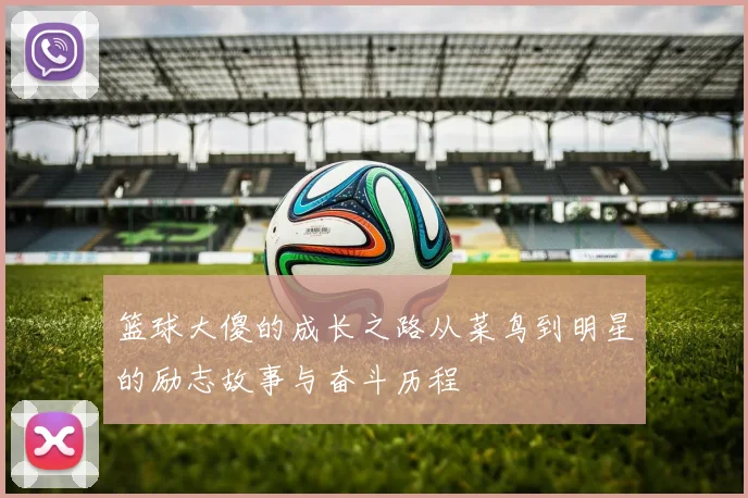 篮球大傻的成长之路从菜鸟到明星的励志故事与奋斗历程